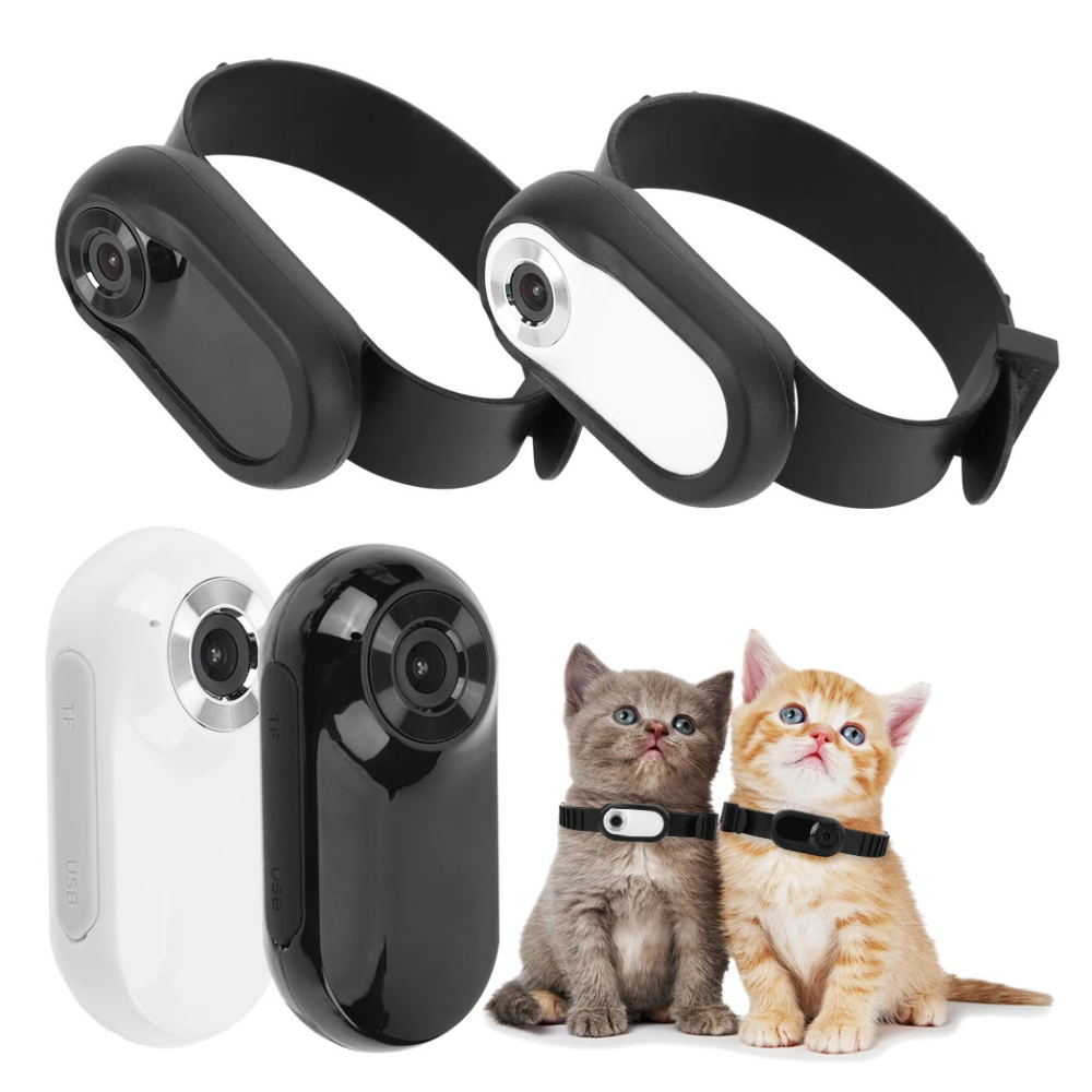 Camera Collar for Cats & Dogs - DM Otaku Shop