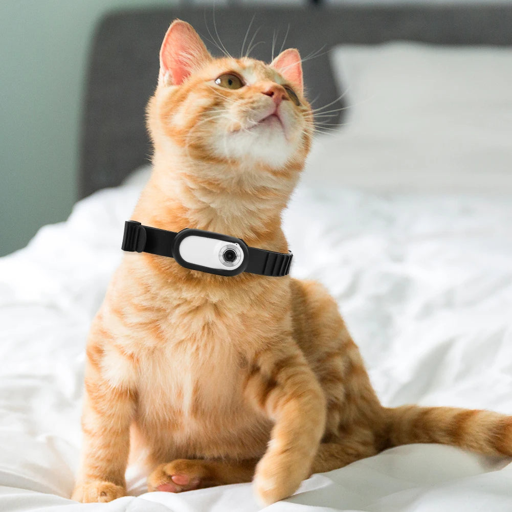 Camera Collar for Cats & Dogs - DM Otaku Shop
